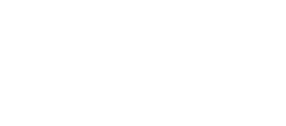 SEOMETRIX